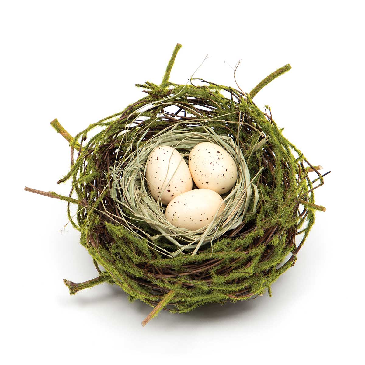!Twig Birds Nest with Natural Eggs